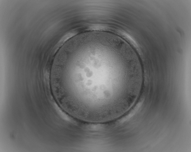 X0000113341041200909151127