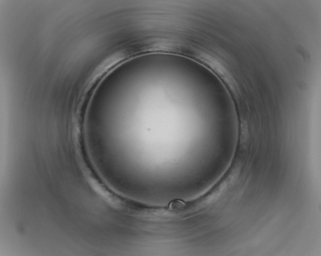 X0000113341042200909151127