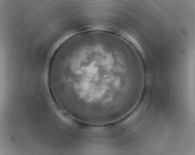 X0000113341043200909151127