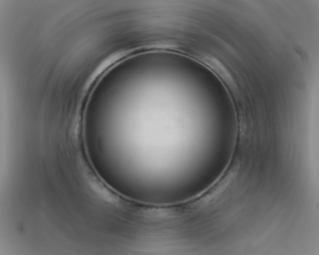 X0000113341044200909151127
