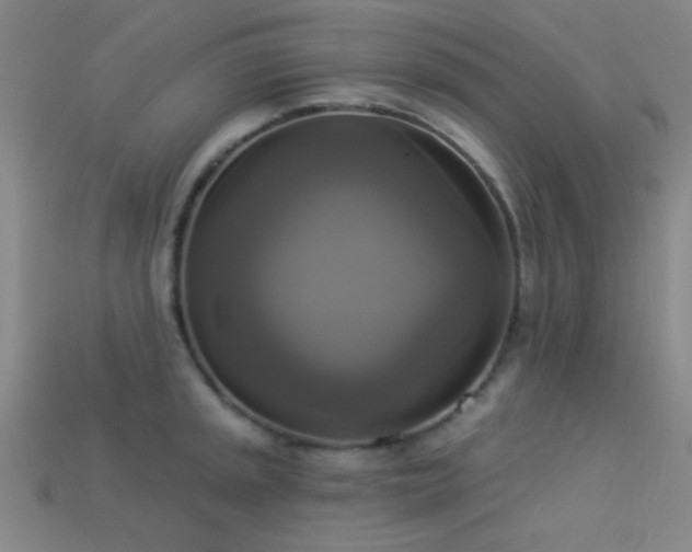 X0000113341045200909151127