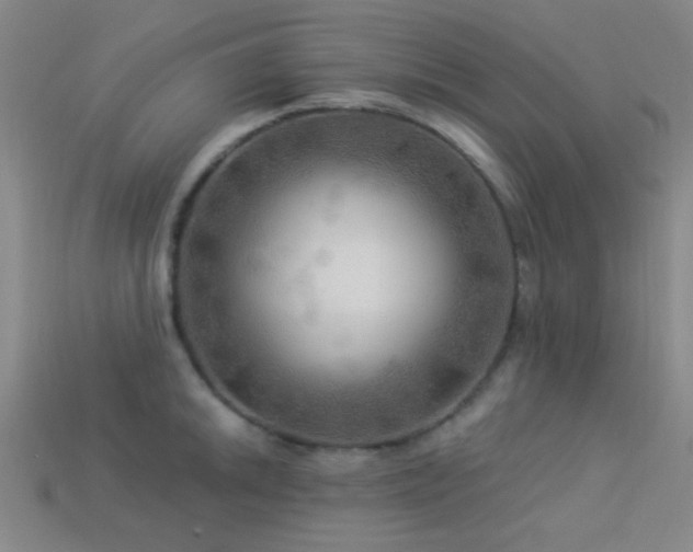 X0000113341046200909151127