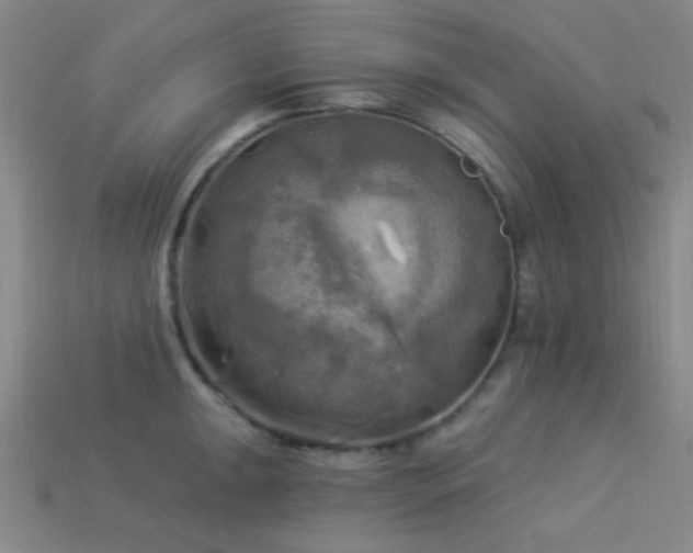 X0000113341047200909151127