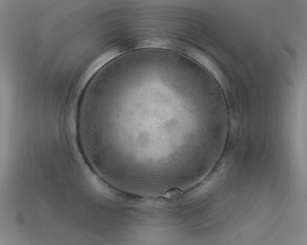 X0000113341050200909151127