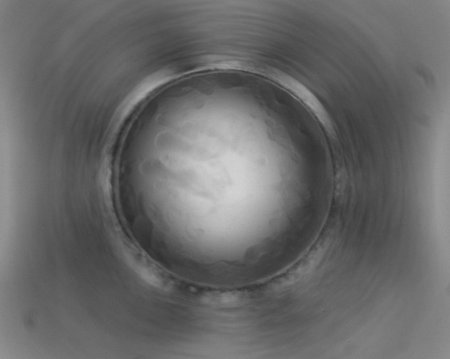 X0000113341051200909151127