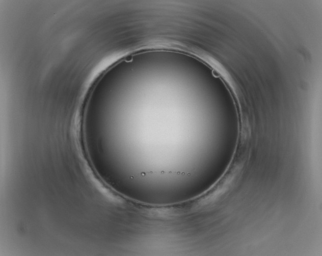 X0000113341053200909151127