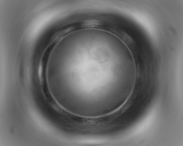X0000113341054200909151127