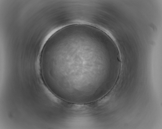 X0000113341056200909151127