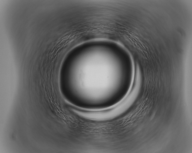 X0000113341057200909151126