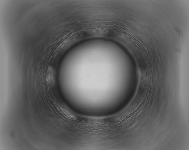 X0000113341058200909151126
