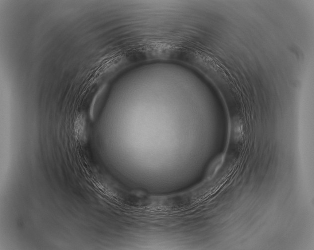 X0000113341060200909151126