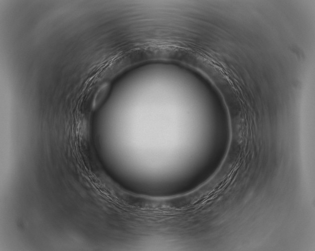 X0000113341061200909151126