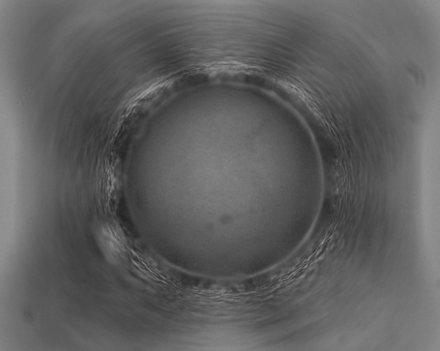 X0000113341063200909151126