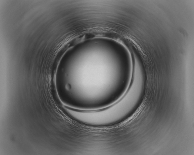 X0000113341065200909151126
