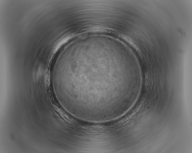X0000113341067200909151126