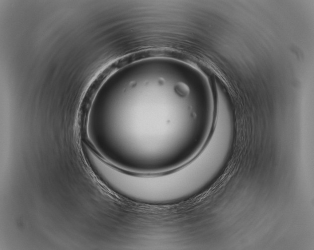 X0000113341068200909151126