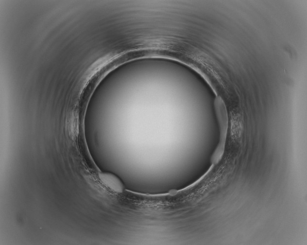 X0000113341069200909151126