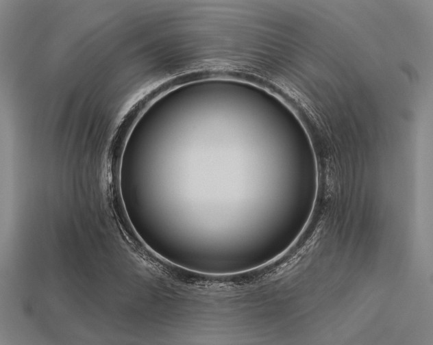 X0000113341070200909151126