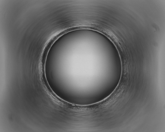 X0000113341072200909151126