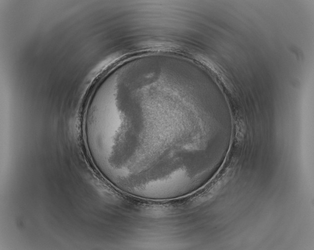 X0000113341074200909151126