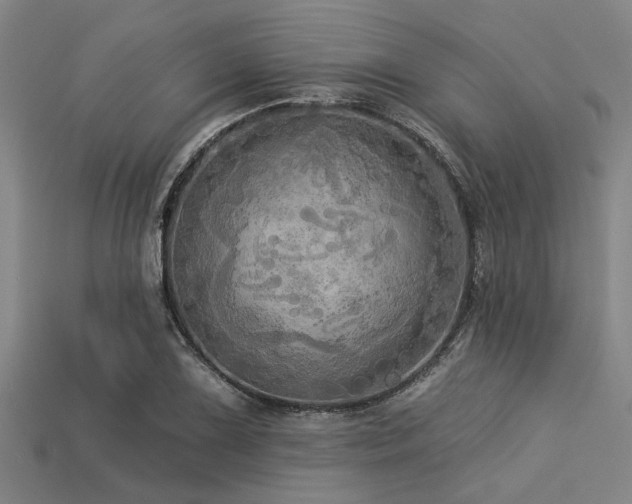 X0000113341075200909151126