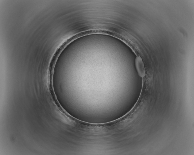 X0000113341076200909151126
