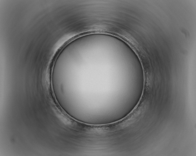 X0000113341078200909151126