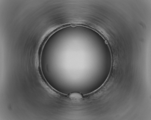 X0000113341080200909151126