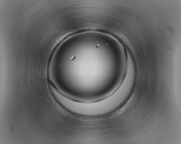 X0000113341081200909151126