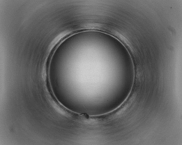 X0000113341082200909151126