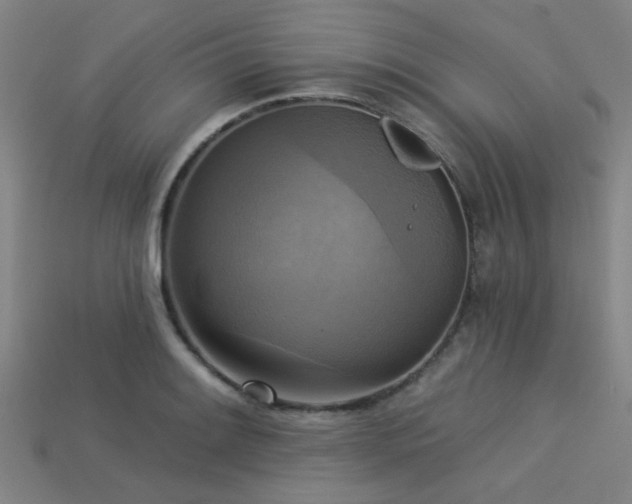 X0000113341084200909151126