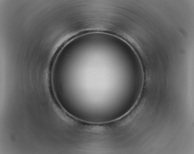 X0000113341085200909151126