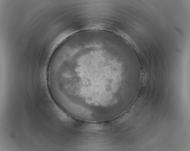 X0000113341086200909151126