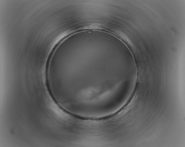 X0000113341087200909151126