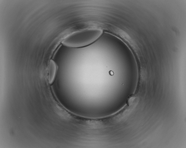 X0000113341089200909151126