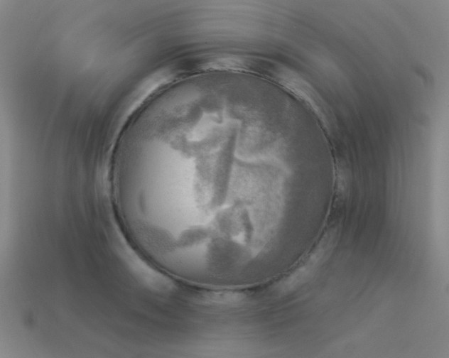 X0000113341090200909151126