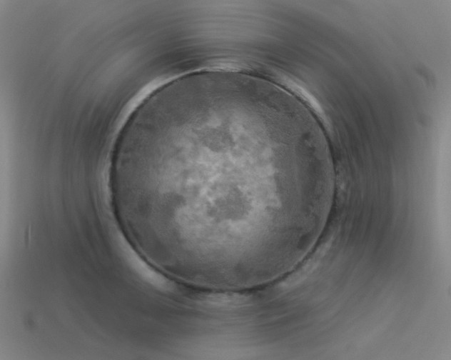 X0000113341091200909151126