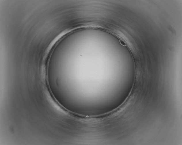 X0000113341092200909151126