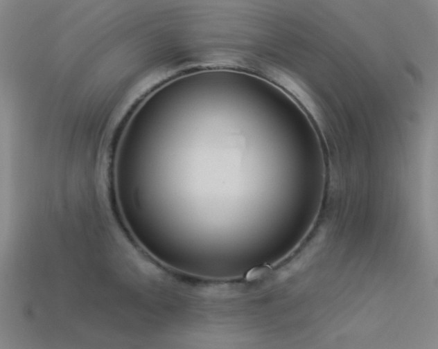 X0000113341093200909151126