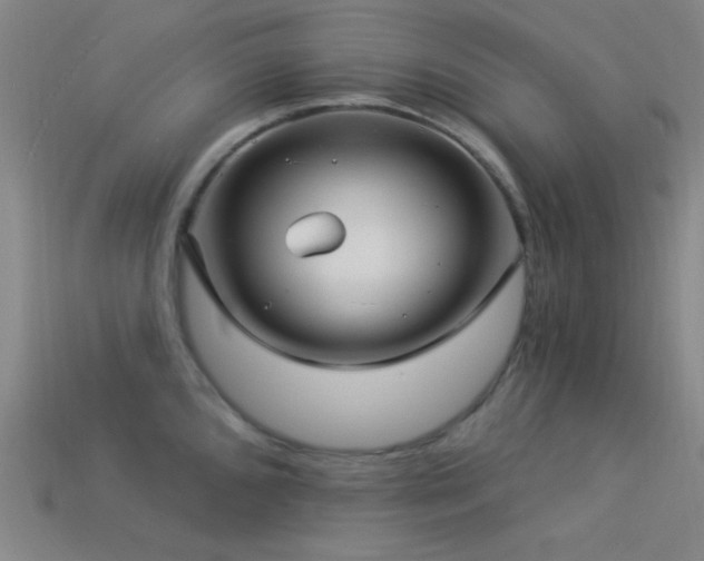 X0000113341096200909151126