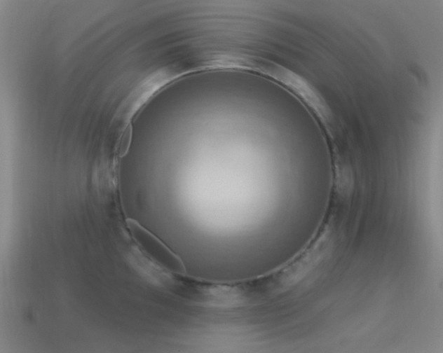 X0000113341097200909151126