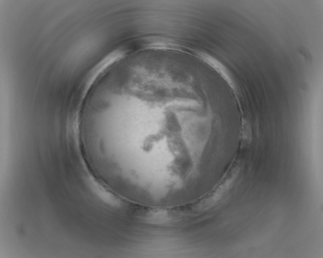X0000113341098200909151126