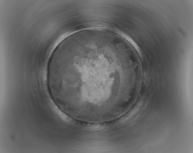 X0000113341099200909151126