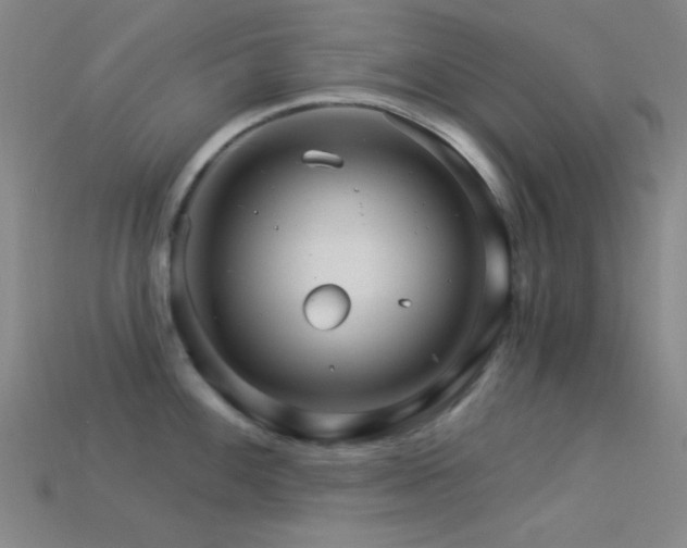X0000113341100200909151126