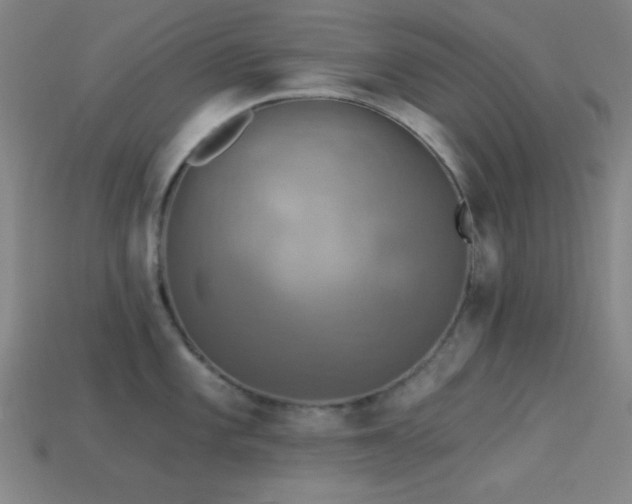 X0000113341101200909151126