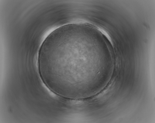 X0000113341103200909151126