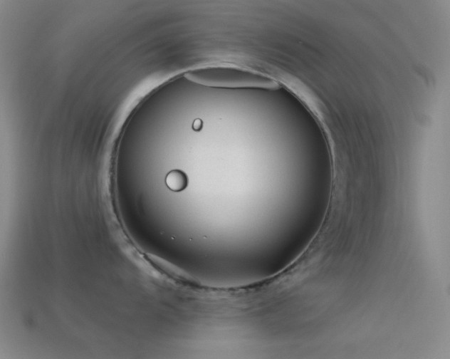 X0000113341104200909151126
