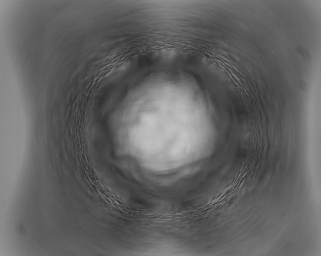 X0000113341105200909151125
