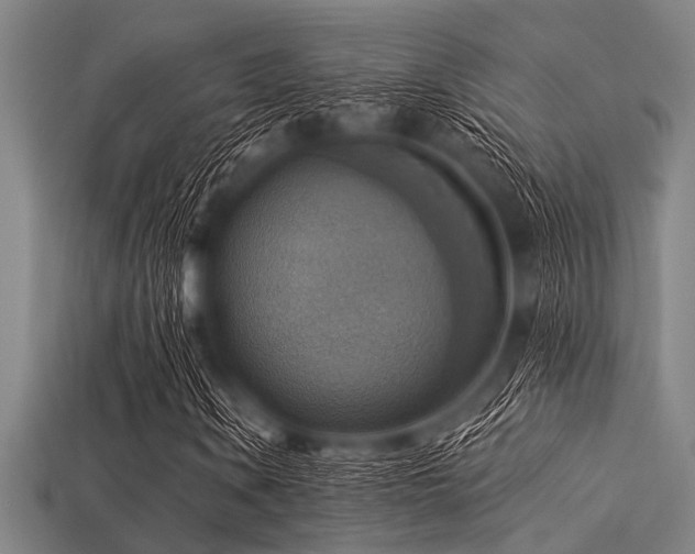 X0000113341106200909151125