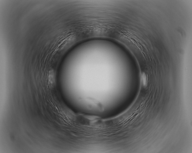 X0000113341107200909151125